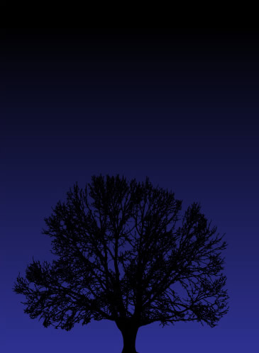 One Tree.